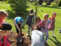 2016-09-14 1.klass istutab oma puu